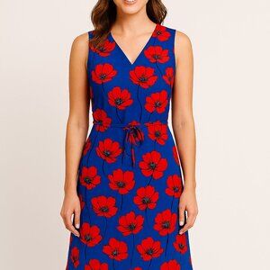 Blue & Red Floral Sleeveless Dress